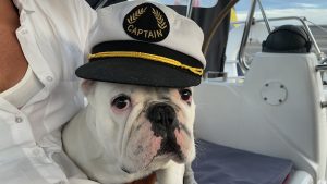 Capt Alf´s useful Links